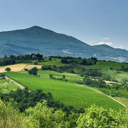 Amantino 8 Emma San Casciano dei Bagni